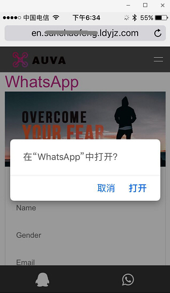 手机端点击WhatsApp可以直接调用成功.jpg